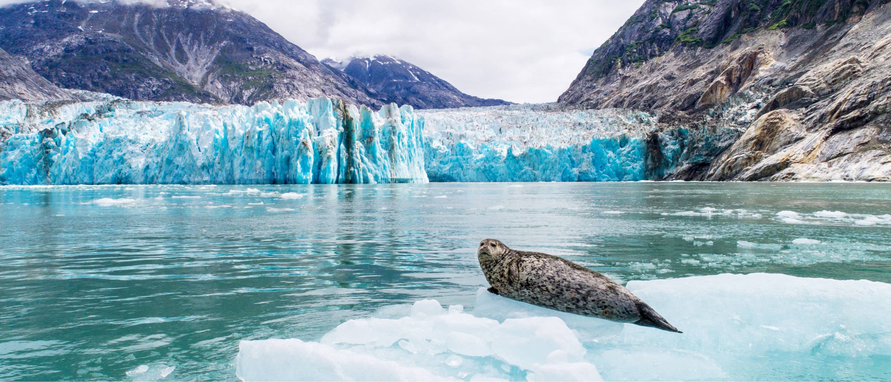 Twin Sawyer Glaciers