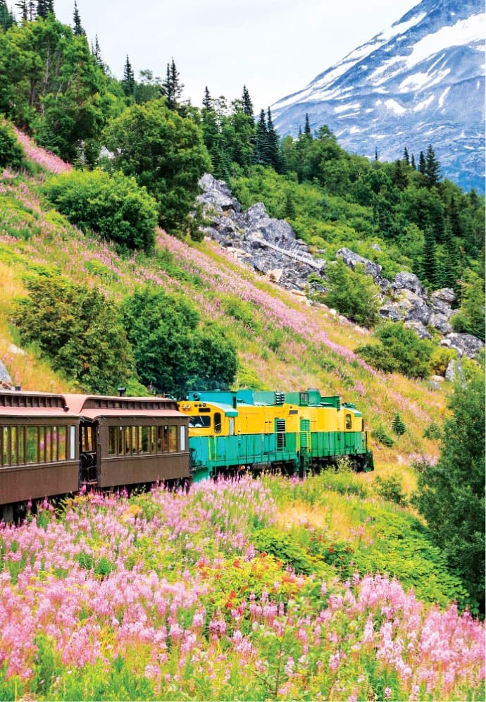 View of White Pass & Yukon Railway train in Alaska
