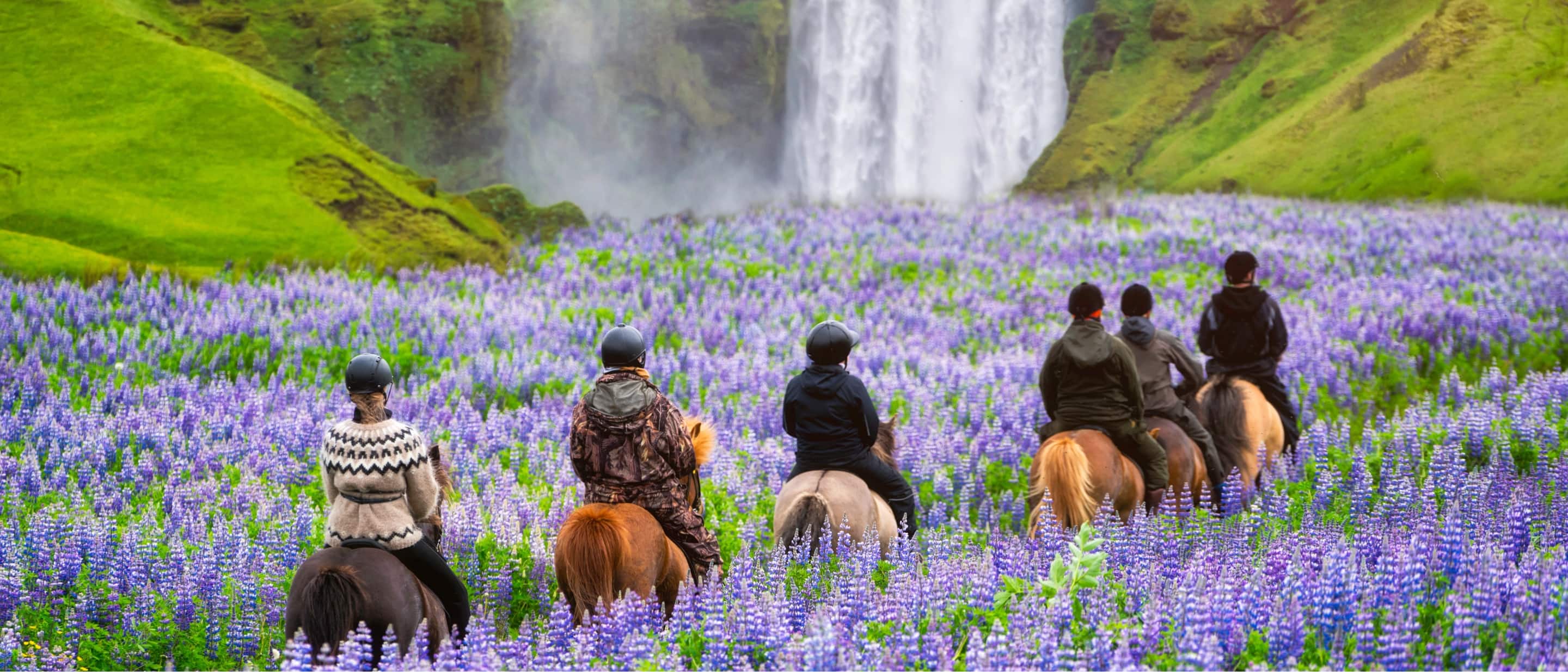 View Iceland on Horseback