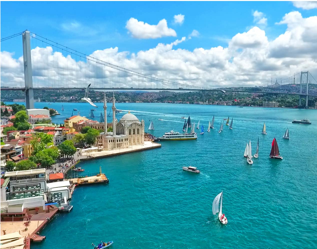 Istanbul Cruises